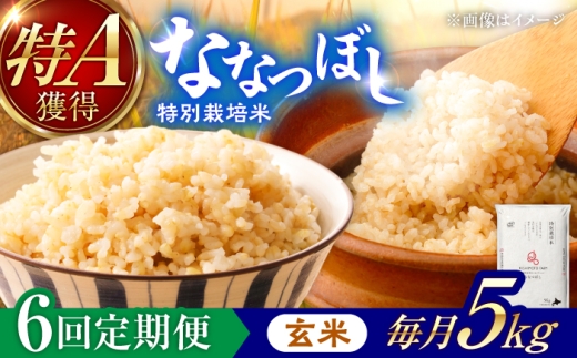 【令和8年産】【新米】【6回定期便】農家直送！特別栽培米ななつぼし【玄米】5kg | 株式会社きしもとファーム [BOBB026]