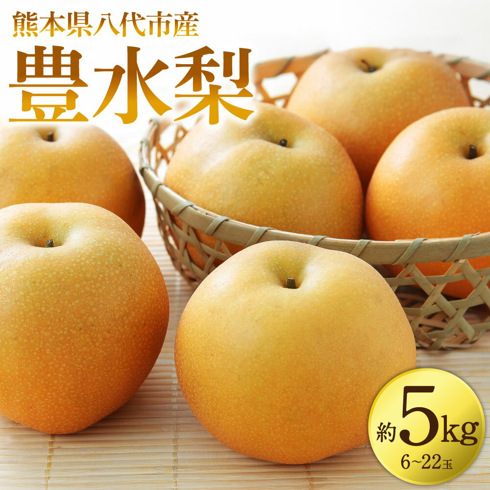 【ふるさと納税】 【先行予約】 豊水梨 約5kg (6～22玉) 梨 なし ナシ フルーツ くだもの 果物 旬 熊本県 八代市 送料無料 【2026年8月中旬より順次発送】