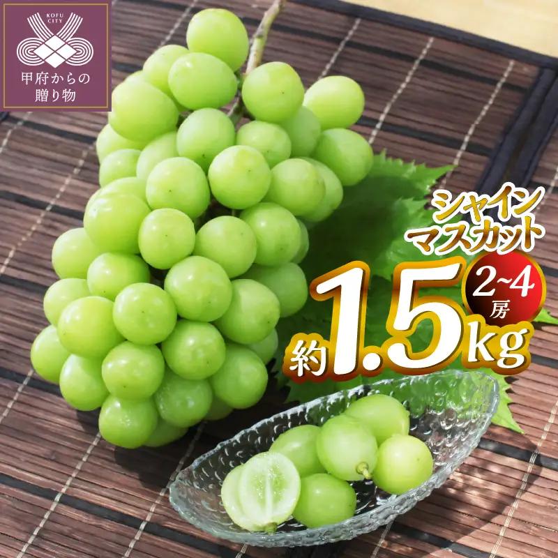 【2026年度配送分】甲府市産　シャインマスカット　約1.5kg（2～4房）