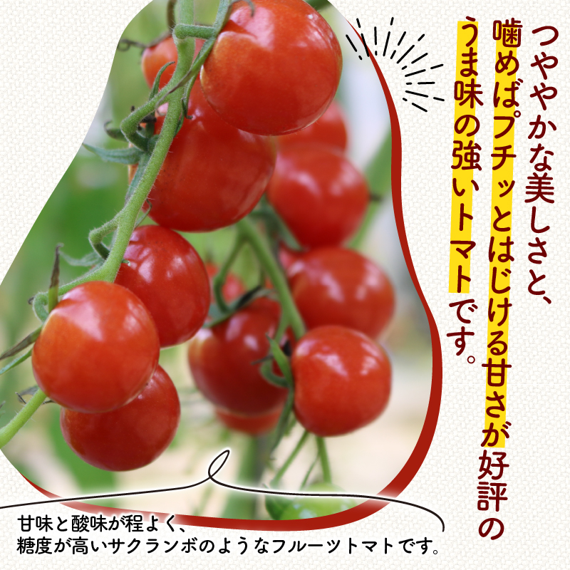 ミニ トマト プチルージュ 150g × 8パック 野菜 ダイエット 健康 リコピン グルメ 静岡県 藤枝市