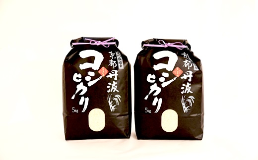 【6カ月定期便】 京丹波こしひかり 10kg×6カ月連続 合計60kg 令和7年産 新米 京都 米 精米 コシヒカリ ※北海道・東北・沖縄・その他離島は配送不可 [090MB003R]