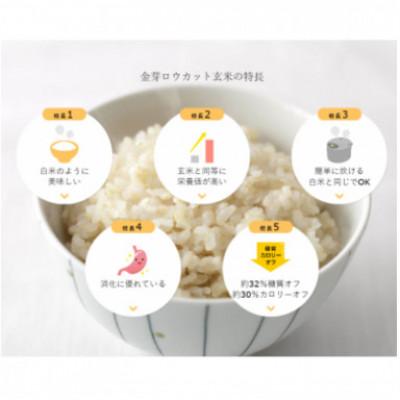 ふるさと納税 田尻町 【2ヵ月毎定期便】金芽ロウカット玄米4kg(2kg×2袋)ふっくら柔らかい美味しさ!全4回 |  | 02