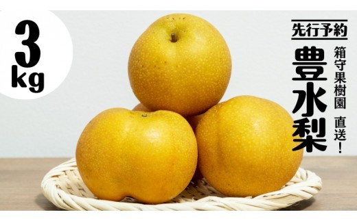 
【 先行予約 】箱守果樹園 直送！ 豊水梨 3kg なし 梨 ほうすい 豊水 果実 果物 フルーツ [DE001ci]
