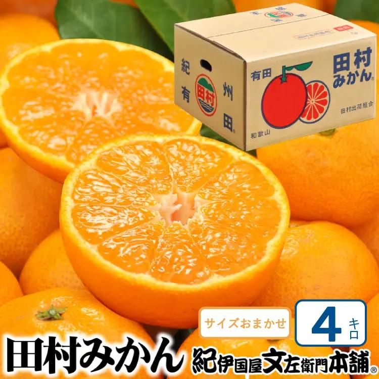 田村みかん 秀品 4kg サイズおまかせ/紀州和歌山有田郡湯浅町田村地区産 ◆2026年11月下旬～2027年1月中旬頃に順次発送予定(お届け日指定不可)　紀伊国屋文左衛門本舗【ntb307B】