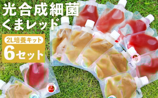 光合成細菌 ( 2L培養キット × 6セット )st-p