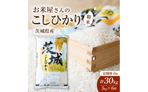 ＜毎月定期便＞お米屋さんのコシヒカリ 精米 5kg(1袋) 全6回【4094328】