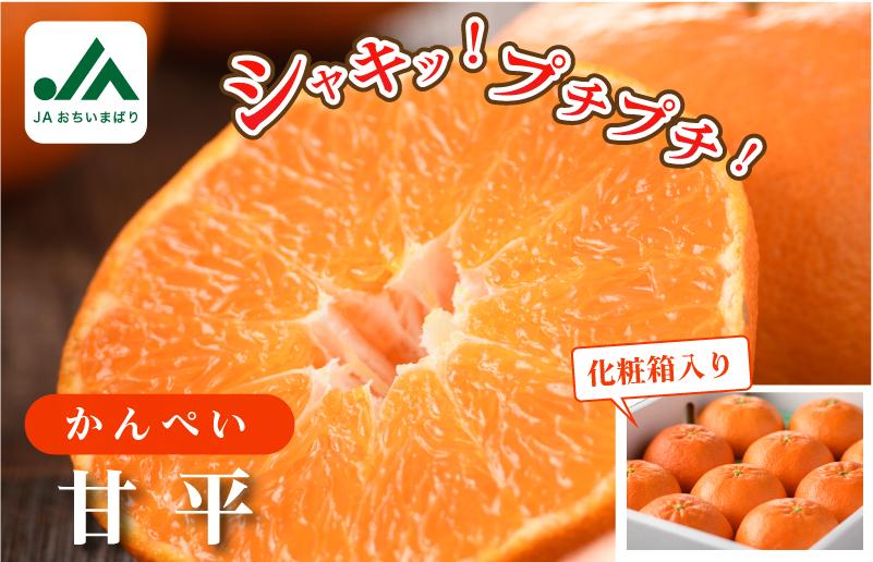 
            【先行予約】【数量限定】今治産 甘平 化粧箱 L～2L 8～12玉【KC00640】人気商品 国産 高級フルーツ 人気商品 みかん 柑橘 フルーツ 果物 JAおちいまばり かんぺい 寛平
          