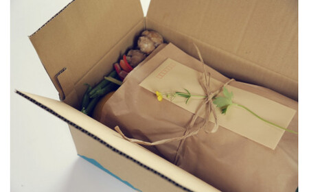 【全6回定期便】栽培期間中に農薬不使用の生姜200gとの野菜詰め合わせ10?13品目 高知県土佐市 【株式会社SIMA】 [BQAZ007]