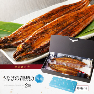 うなぎの蒲焼き2尾セット_皮はパリッと身はジューシー 鰻 蒲焼き 2尾 タレ 南九州産うなぎ こだわり製法 真空パック 冷凍 柳栄館 食品 加工品 国産うなぎ うな丼 うな重 ひつまぶし 土用 丑の日