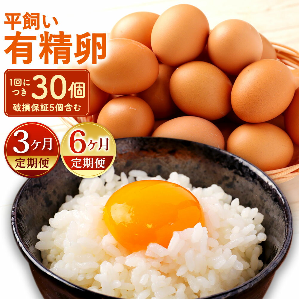 【ふるさと納税】【定期便】なかにし養鶏場の 平飼い 有精卵 1回につき30個 破損保証5個含む ＜選べる＞ 3回定期便 / 6回定期便 卵 鶏卵 生卵 たまご 国産 九州 冷蔵 福岡県北九州市
