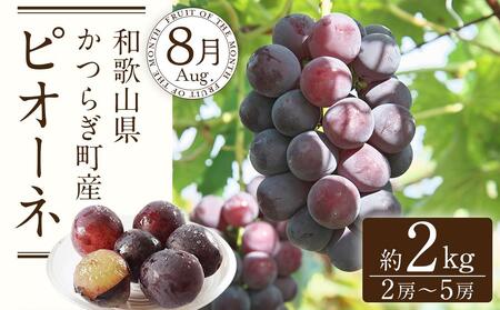 定期便全3回　和歌山の人気の夏のフルーツをお届け！