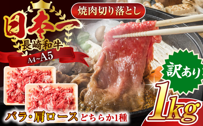 
【訳あり】【A4～A5】長崎和牛焼肉切り落とし(肩ロース・バラ）　1kg（500g×2p）【株式会社 MEAT PLUS】 [QBS004]
