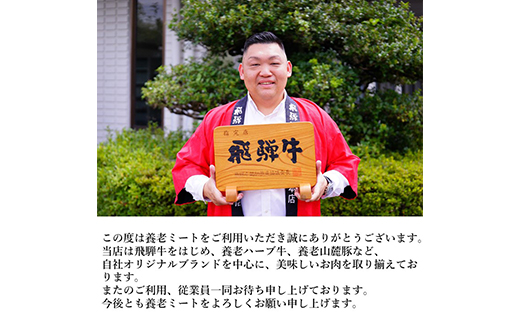 飛騨牛ロースまたは肩ロース600g (焼肉・BBQ用)【配送不可地域：離島】【1042664】