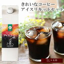 【ふるさと納税】きれいなコーヒー アイス リキッド セット 4本 アイスコーヒー コーヒー 珈琲 無糖 ブラック ストレート 送料無料 福岡 飯塚市 飯塚 ギフト プレゼント おうち時間 【A5-380】【1204レビューCP】