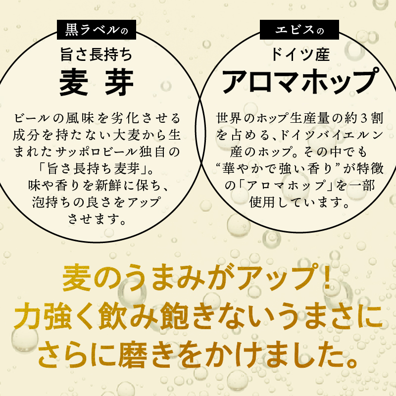 T0102-1704　【定期便4回】サッポロゴールドスター500ml缶×1箱（24本）
