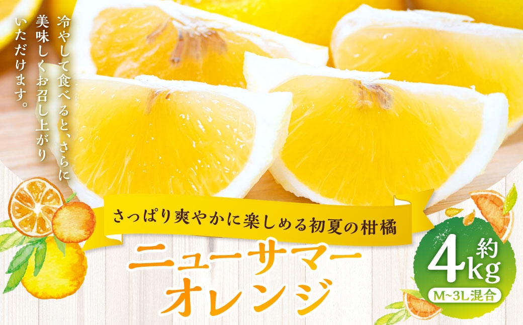
                  【 さっぱり爽やかに楽しめる初夏の柑橘 】 ニューサマーオレンジ 約4kg オレンジ おれんじ 柑橘 柑橘系 柑橘類 みかん ミカン くだもの 果物 フルーツ 果実 果汁 果肉 国産 愛媛県産 【 2027年4月上旬～5月下旬発送予定 】 ( 1066 )
                