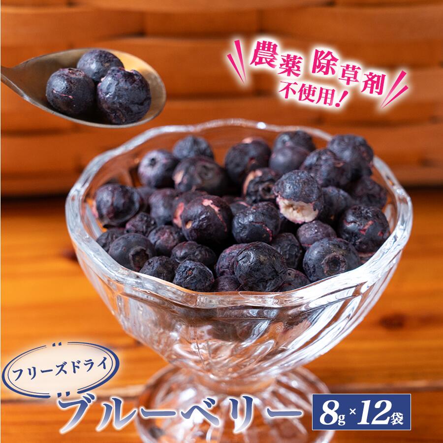【ふるさと納税】トムのぱくぱくフリーズドライブルーベリー 8g×12袋 ｜ ブルーベリー 国産 ベリー スイーツ 果実 果物 おやつ 健康 茨城県 つくば市
