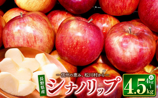 【2026年先行予約】シナノリップ 約4kg～4.5kg ｜ 東印平林農園 リンゴ りんご 林檎 果物 くだもの フルーツ 果実 果汁 シナノリップ エコファーマー 長野県 松川村 信州