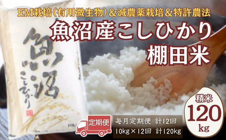【令和7年産 】魚沼産コシヒカリ棚田米 120kg (10キロ×12回) 佐藤農場 | 新潟県 コシヒカリ おこめ