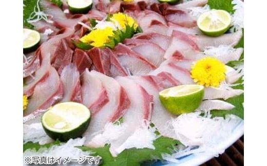 【今逃せば1年待ち】一度食べたらハマる粟島の日本海天然国産寒ブリ刺身＆ブリしゃぶカット350g2月中下旬発送