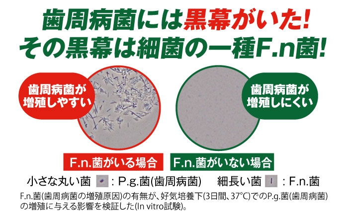 歯磨き はみがき ハミガキ 歯磨き粉 歯ブラシ マウスウォッシュ 歯間ブラシ 歯周病 ホワイトニング 口臭 予防 デンタルケア
