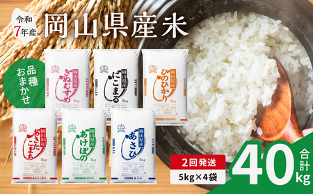 【2ヶ月定期便】令和7年産米 岡山県産米 20kg (5kg×4袋)×2回 計40kg