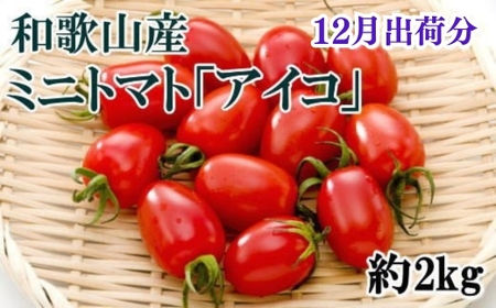 トマト 1月 先行予約 野菜 / 【2024年12月出荷分】和歌山産ミニトマト「アイコトマト」約2kg（S・Mサイズおまかせ）【tec100-12】