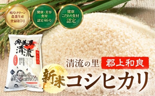 【G0174】奥美濃清流米(10kg)　令和７年産　こしひかり コシヒカリ お米 こめ 食品  米 雑穀  白米 34000円