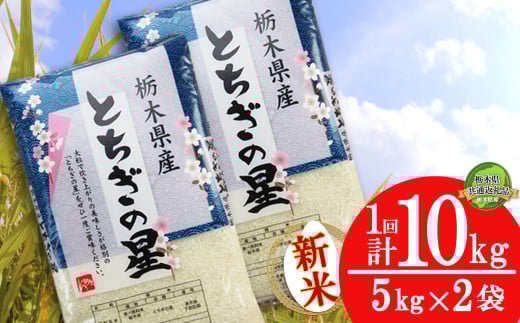 【栃木県共通返礼品】【先行予約】【11月発送】とちぎの星 10kg（5kg×2袋） | 米 こめ コメ kome 白米 精米 お米 とちぎのほし トチギノホシ ﾄﾁｷﾞﾉﾎｼ 粘り 弾力 冷めても美味しい 丼もの カレー 新米 栃木米 令和7年度米 令和7年度 2025年度米 2025年度 ブランド米 栃木県 特産品 送料無料 栃木県 下野市 しもつけ市
