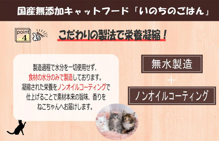 【定期便】国産 無添加 キャットフード「いのちのごはん」500g×全6回【毎月配送コース】