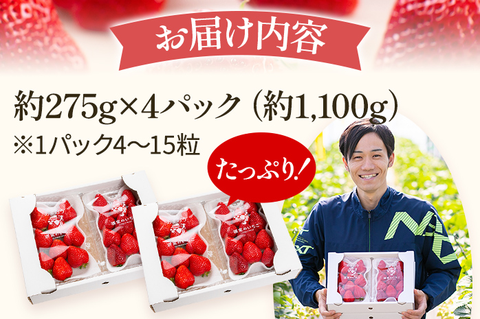 いちご あまおう 約1100g （約275g×4パック） 【先行受付／2027年3月～5月中旬順次発送予定】