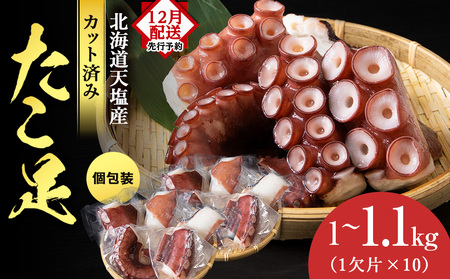 12月発送先行予約 たこ足（1欠片×10）計1,000～1,100ｇ＜浪岡屋＞ 蛸足 海鮮 ふるさと納税 北海道ふるさと納税