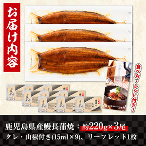 i1078-B ＼特大サイズ／鹿児島県産 うなぎ蒲焼 3尾（約220g×3・計約660g） たれ 山椒付きうなぎ 鰻 ウナギ 特大 特大サイズ 約220g 蒲焼き 国産 鹿児島県産 焼きたて 生産量日