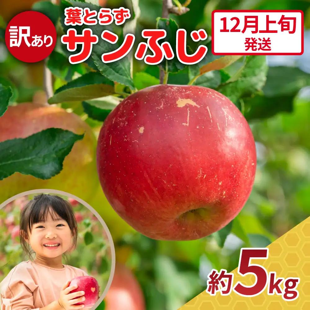 【2026年12月上旬発送】【訳あり】 りんご 約5kg サンふじ 青森県産 葉とらずりんご
