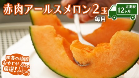 【定期便】赤肉 アールスメロン 毎月2個 × 12か月 フルーツ 果物