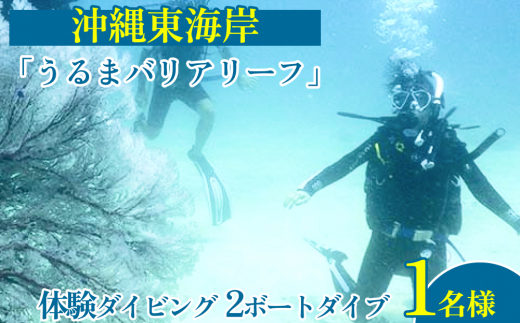 
沖縄東海岸「うるまバリアリーフ」で体験ダイビング　（1名様）
