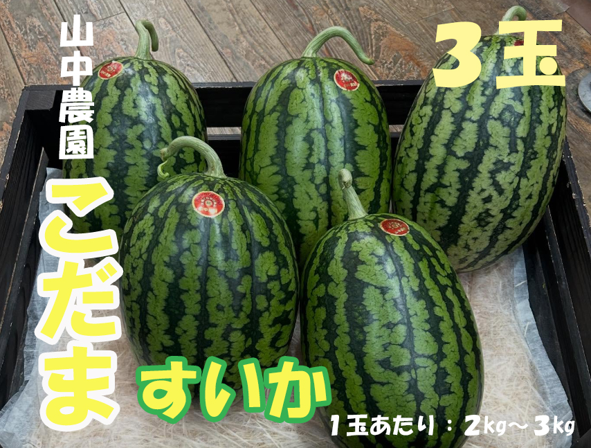 103005　山中農園の小玉すいか３玉