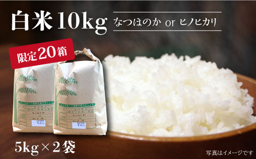 【先行予約☆数量限定】 【令和7年産 新米】 白米 （ なつほのか or ヒノヒカリ ） 計10kg （5kg×2袋）  ＜夢農園 モリピー＞  [CEJ002] 白米 米 ひのひかり なつほのか  こめ ごはん ご飯