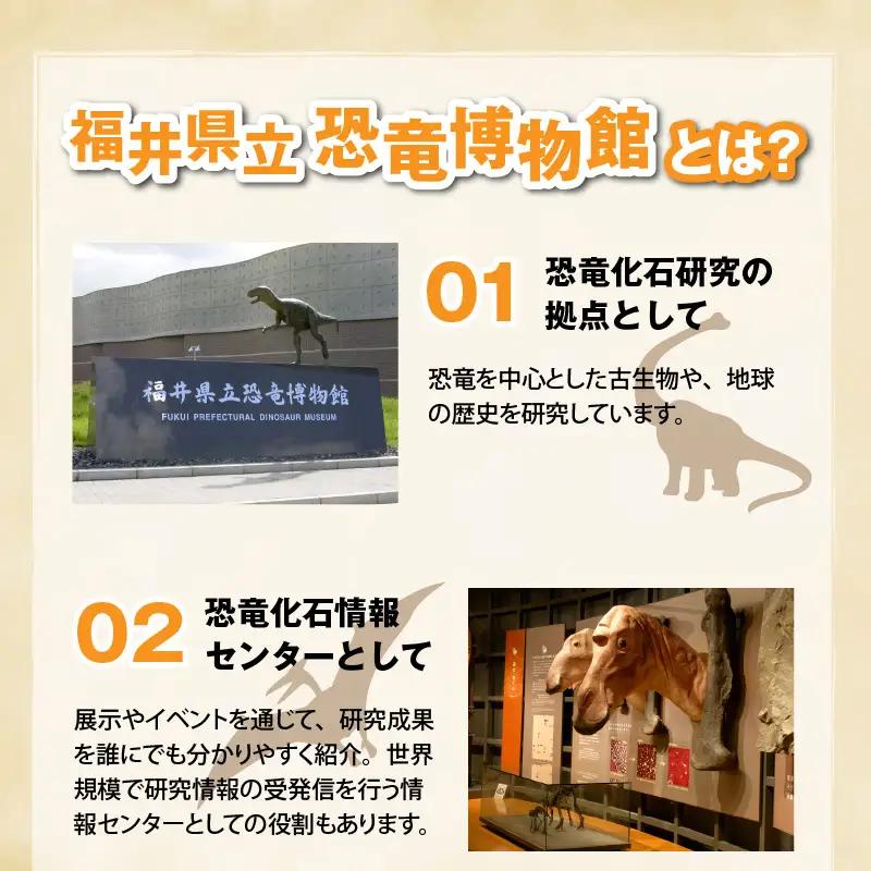 恐竜博物館 観覧券 常設展 一般2名＋小中学生1名 [A-048008]
