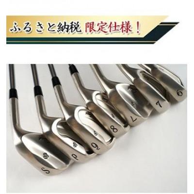 ふるさと納税 姫路市 ふるさと納税限定仕様スクラッチゴルフアイアンセット(R)[53657371]