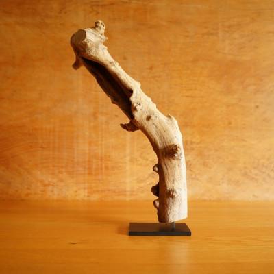 ふるさと納税 屋久島町 【屋久島の流木】中サイズ　タイプ2 |  | 01