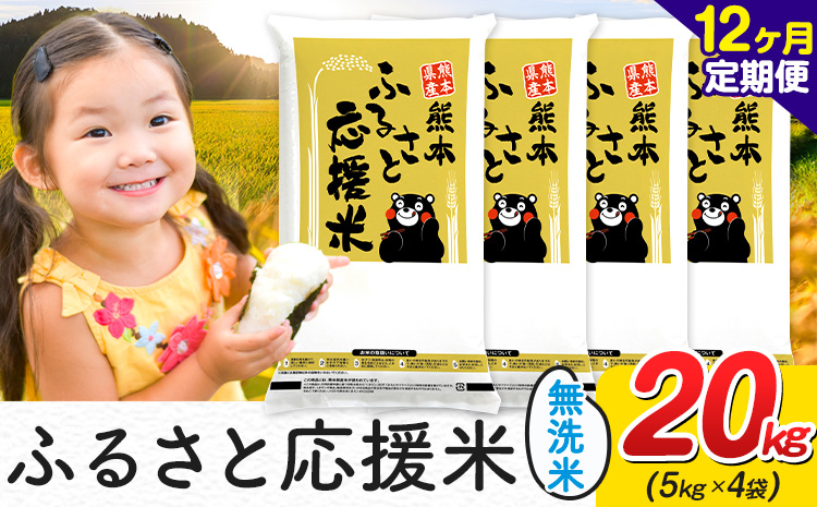 【12ヶ月定期便】米 無洗米 家庭用 熊本 ふるさと応援 定期便 米 20kg《お申込み翌月から出荷》 熊本県産 精米 山江村 ブレンド米 国産 おうちご飯 返礼品 発送 配送 SDGs わけあり むせんまい お米 おこめ