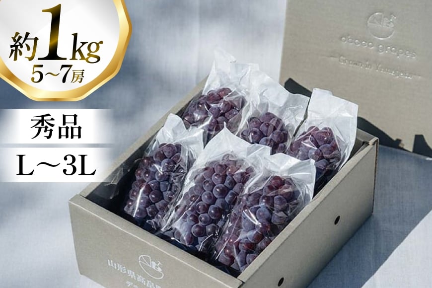 【期間限定発送】 ぶどう デラウェア 5～7房 約 1kg 朝採り [oboco grapes 山形県 高畠町 tk06ayt250000] 個包装 種無し ブドウ 葡萄 くだもの 果物 フルーツ 産