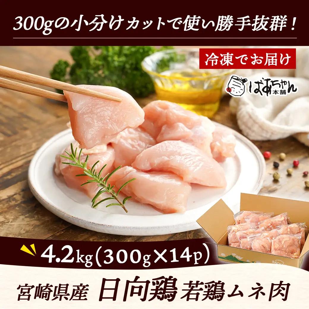 日向鶏 若鶏ムネ肉カット済4.2kg〔MJ-1562〕_(都城市) ムネ肉 4.2kg 宮崎県産 日向鶏若鶏 大容量 冷凍 唐揚げ チキン南蛮