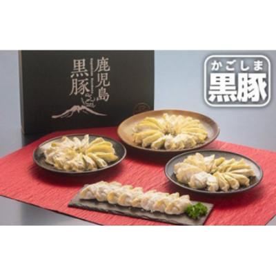 ふるさと納税 鹿屋市 鹿児島黒豚 餃子1.6kg(96個)　1289-1　 |  | 01