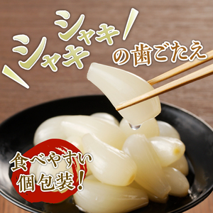 食べきりサイズ 色白美人らっきょう 国産無添加 80g×2袋　ラッキョウ 食べきりサイズ 160g おつまみ ご飯のおとも お酒のお供 野菜 旬 漬物 つけもの お漬物 常温保存 山梨県 北杜市 [h