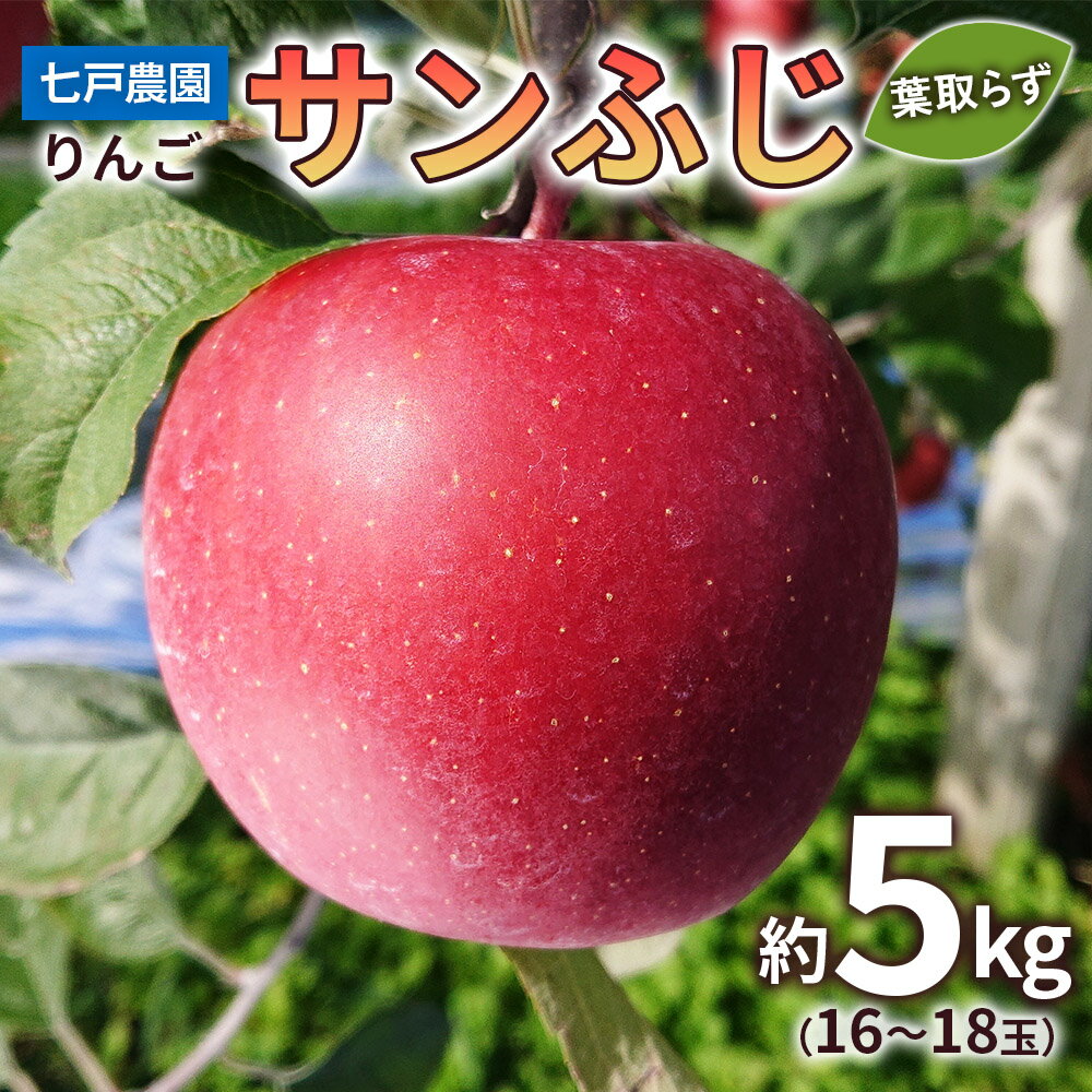 【ふるさと納税】りんご サンふじ 葉取らず 約5kg(16から18玉) 青森産 つがる市【2025年11月下旬より順次発送】｜青森県産 津軽 リンゴ りんご 葉とらず 青森りんご 果物 フルーツ 2025年産 令和7年産 [0831]