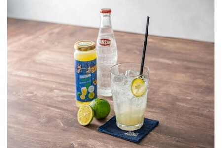 フレンチモンスター　徳島すだちネードベース　3本/レモネード シロップ