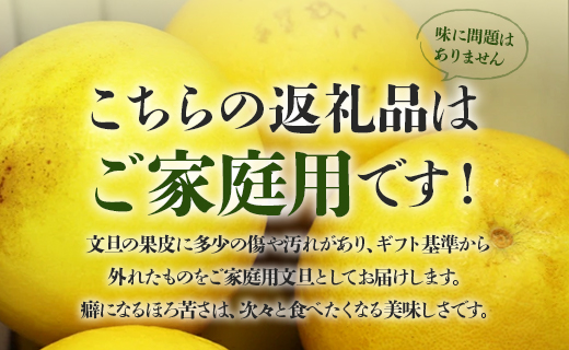 【先行予約】訳あり 土佐文旦 約5kg (家庭用 2L〜4Lサイズ) - 期間限定 柑橘類 果物 くだもの フルーツ ぶんたん ブンタン おいしい 送料無料 間城農園 高知県 香南市 ms-0079
