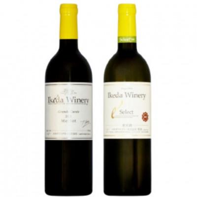 ふるさと納税 甲州市 イケダワイナリー 2本セット【グラン・キュヴェ メルロー / セレクト白】C-1670